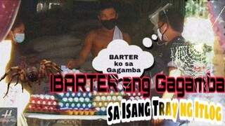 IBARTER ang GAGAMBA sa Isang Tray ng Itlog PRANK | Ft. MakoOy TV