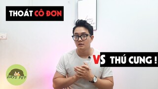 Người cô đơn hay nuôi thú cưng là vì sao ? - Bạn có đang cô đơn ? | Dayspet