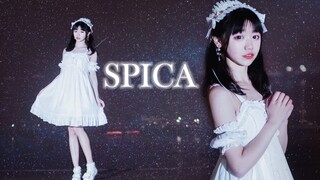 【羊七七】SPICA【生日作】一路走来，感谢有你。【星辰】