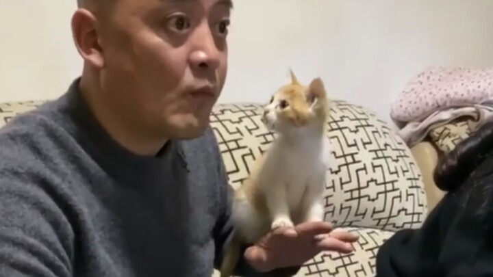 พ่อแม่: ถ้ามึงกล้าเลี้ยงแมว กูจะ (รัวแมวอย่างแรง) หักขามึง!