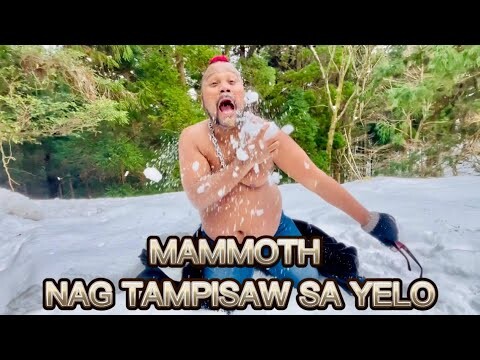 MAMMOTH NALIGO SA YELO