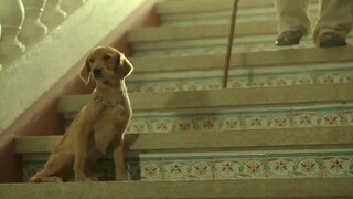 Bwakaw (2012)