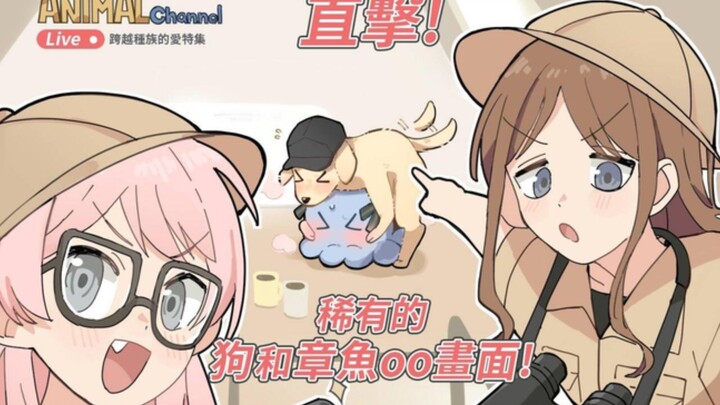 笑了你就要看一辈子人寿的【少女乐队Memes】#18