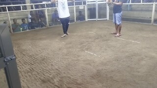 pa champion