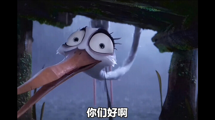 苍鹭：野鸭小宝贝你们好呀