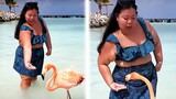 Can You Handle These Hilarious TIKTOK FAILS?! 🤣🤣 Funny TikTok Compilation | AFV 2023