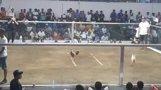 2 hits champion using full bros sweater grey. 1st fight