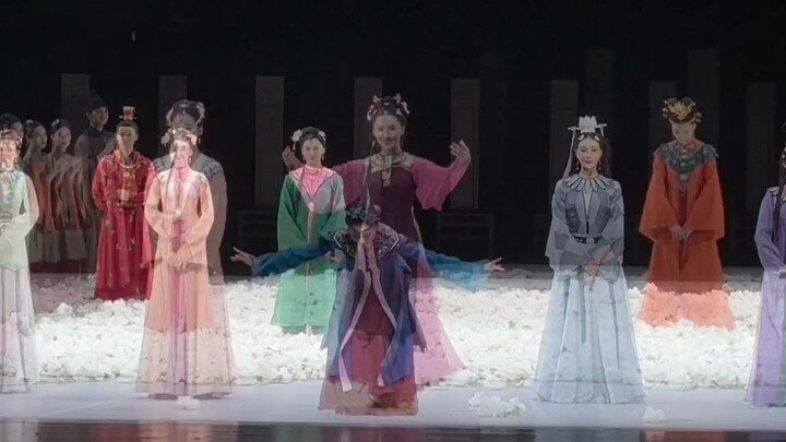 Vở kịch khiêu vũ "Hồng Lâu Mộng" đã kết thúc, "Mười hai mỹ nhân Kim Lăng trở về chỗ cũ"!
