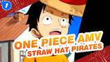 [One Piece AMV / Epic] The Story of Straw Hat Pirates_1
