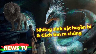 Những sinh vật huyền bí và cách tìm ra chúng