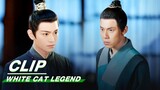 The Murderer of Li Bing's Father | White Cat Legend EP26 | 大理寺少卿游 | iQIYI