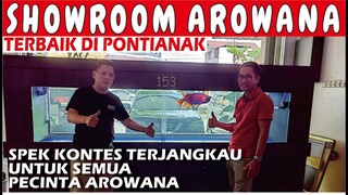 SHOWROOM AROWANA SUPER RED TERBAIK DI KOTA PONTIANAK