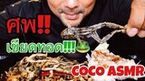 ASMR:Baby Frogs (EATING SOUNDS)|COCO SAMUI ASMR #กินโชว์เขียดทอด