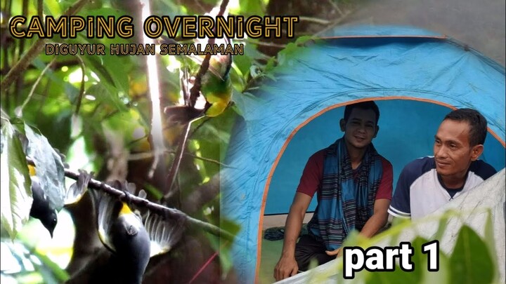 Camping dan bermalam  dihutan || Mikat burung di hutan sumatera.