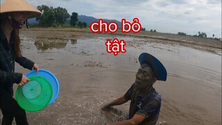 Tư Cà Khịa Tưởng Đâu Lừa Được Em Vợ Nhưng Không Ngờ Bị Lên Bờ Xuống Sìn