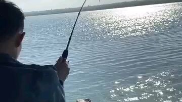 jiwa mancing