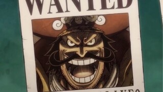 [One Piece] - Một huyền thoại