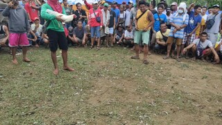 BARANGAY PAL EW TANJAY, NEGROS ORIENTAL WHITE KELSO