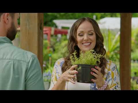 Let Love Grow Trailer