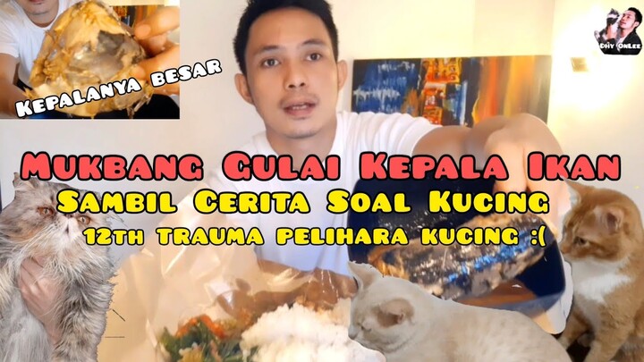 MAKAN NASI PADANG SAMBIL CERITA SOAL KUCING - Kisah Pecinta Kucing | mukbang gulai kepala ikan