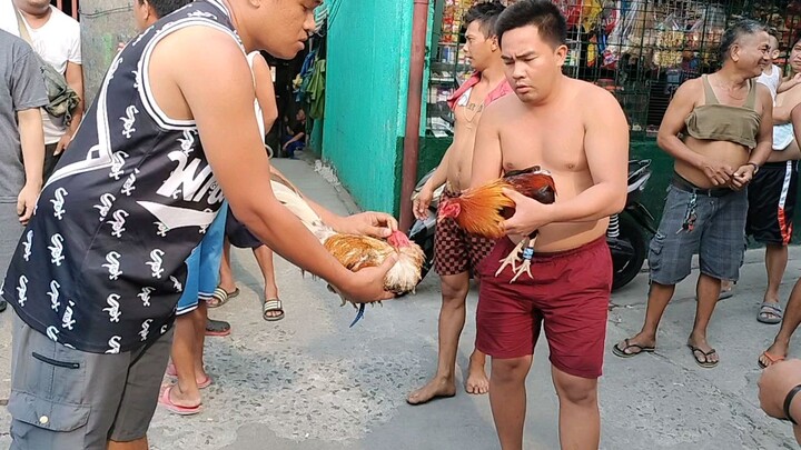 Takbo🐓