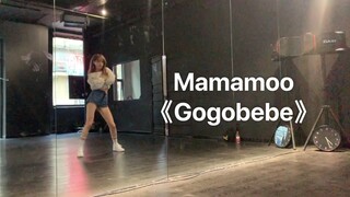 【天草】Gogobebe练习室