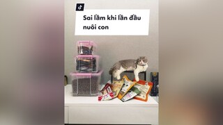 Nếu có đứa sau mình hứa không chiều hư con mình nữa 🥺 cat catlover NuCuoiBatNgo voiceeffects