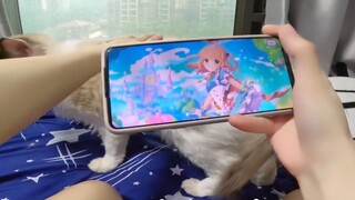 【Nozi】Can you play Princess Connect without seeing it? There are always more solutions than difficul