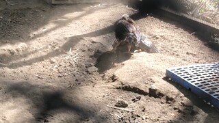 Month old palang lagitik na ang palo eh!