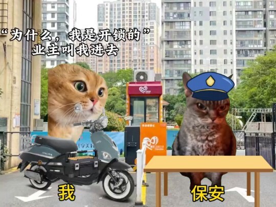 师傅：你这是对我职业的侮辱