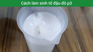 Cách làm sinh tố đậu đỏ p3