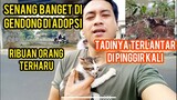 Allahu Akbar Anak Kucing  Sakit Terlantar Di Pinggir Kali Langsung Adopsi Lihat ending nya..!