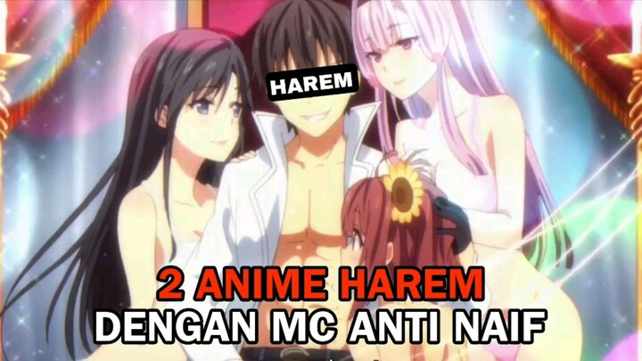 BIKIN IRI !!! TOP 2 ANIME HAREM | Part 1