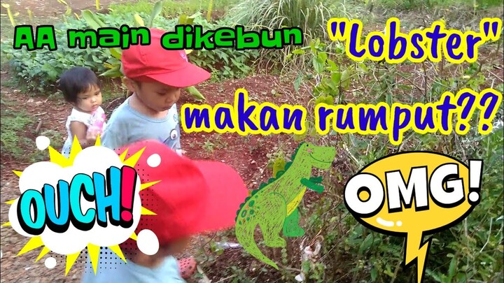 Serunya bermain dikebun menemukan lobster dan dinosaurus
