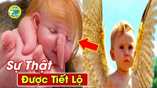 7 Bí Mật Khủng Khiếp Và Đáng Sợ Về Thiên Thần - Có Thật Sự Đáng Yêu Như Lời Đồn