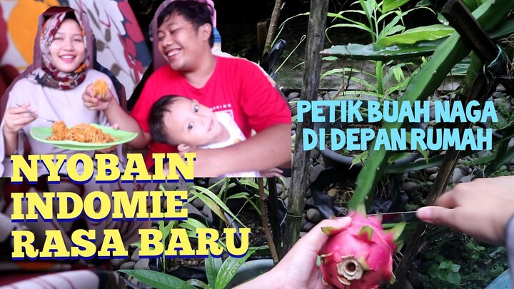 VLOG NYOBAIN MIEGHETTI RASA BOLOGNESE, PETIK BUAH NAGA DI DEPAN RUMAH
