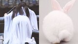 [Xiao Zhan] Thay thế bữa ăn cho thỏ, thiếu thỏ khiến bạn phát ốm