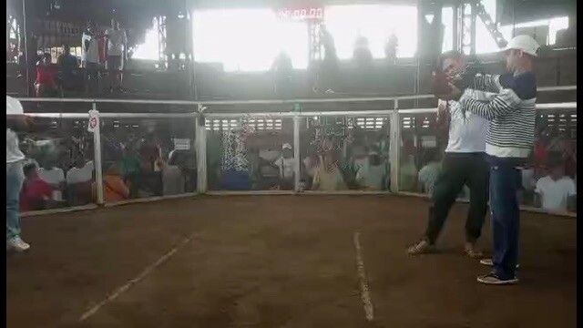 3wins