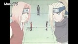 Naruto (Ep 41.5) Sakura vs Ino: Hãy chiến đấu hết sức mình #Naruto