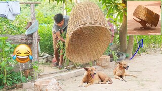 Best Funny Prank Plastic Box vs Prank on Sleep Dog stuck in the Box very Funny