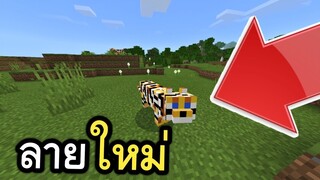 เเมวลายใหม่ !! เคยกันรึยัง???? (โครตว้าว) | Minecraft PE