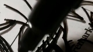 【Lukisan Kaca】 Therehu Una