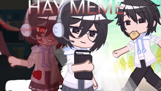 [MMD]คลิปวีดีโอต้นฉบับ: HAY - MEME!