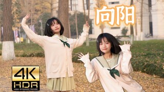 【4K】冬日里的《向阳》，抓住银杏季的尾巴！