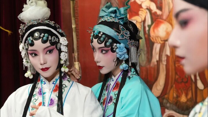 【Earl Dog】Still need to follow the aesthetics of our ancestors｜Kunqu Opera Legend of the White Snake