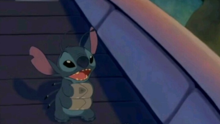 My name is Stitch, my family is very broken and small, but I love them very much!