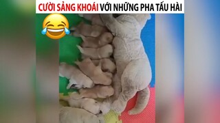 Những pha tấu hài cười sảnh khoái#2