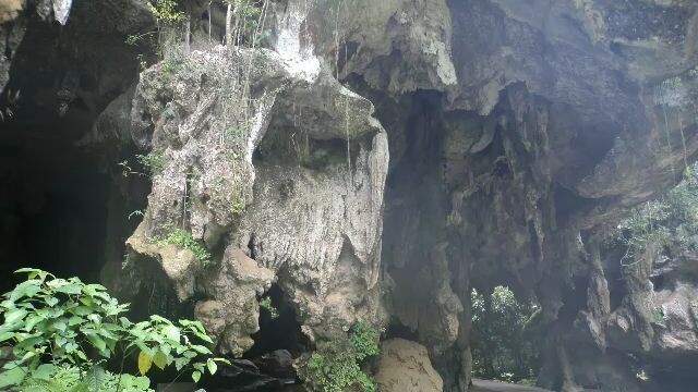 Jerantut,Pahang,Malaysia/马来西亚彭亨州而连突(2017)