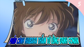 Phân cảnh Haibara Thám tử lừng danh Conan_5