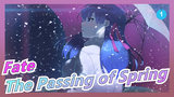 [Fate/stay night HF] The Passing of Spring，But I'll Stay With You Forever_1
